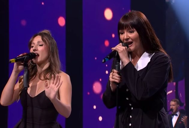 cerke vladimira vjestica