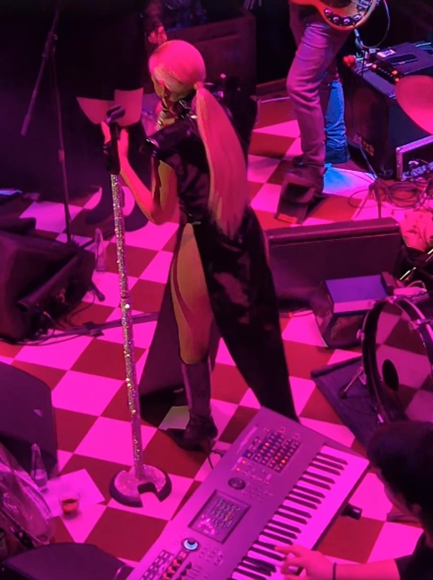 Nataši Bekvalac sevnula zadnjica: Pevačica u najizazovnijoj haljini do sada FOTO 7 image 26 11