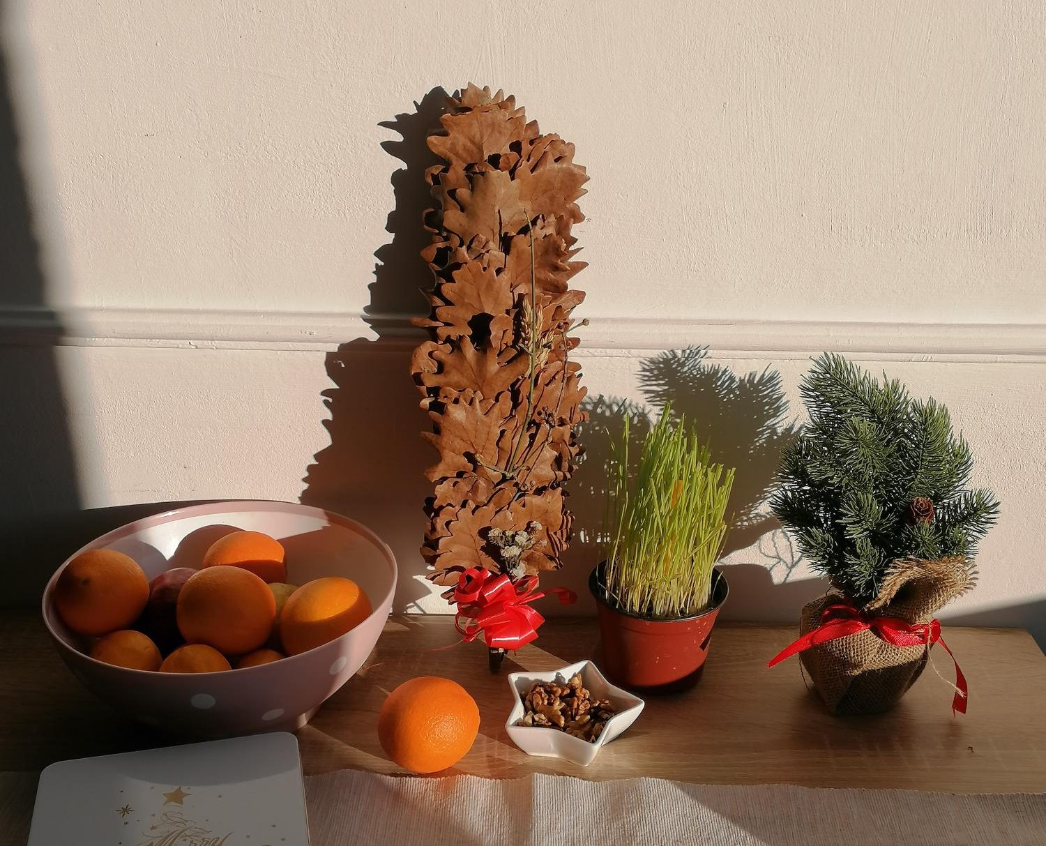 1765980767293 e1767614332740