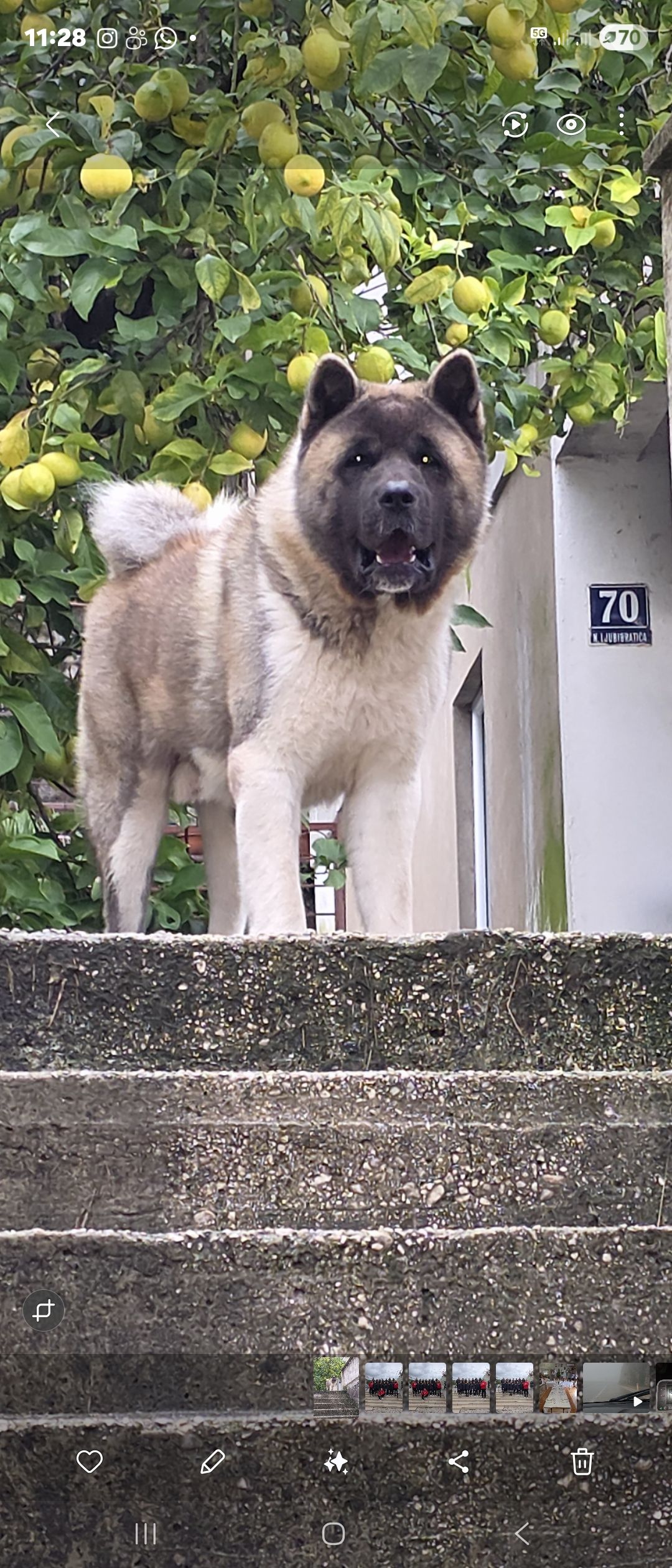 586722015 10240756384509777 7620355133468794469 n