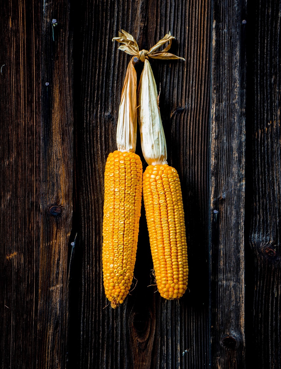 dijeta 3