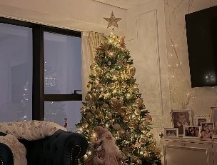 U njenom domu je počela praznična čarolija: Pevačica okitila stan za koji se šuška da je koštao skoro pola miliona evra 10 jelka kace grujic 1