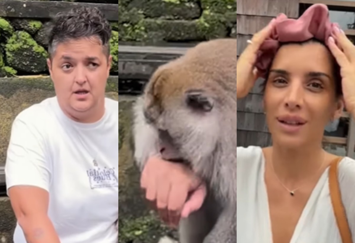 mariju serifovic ujeo majmun