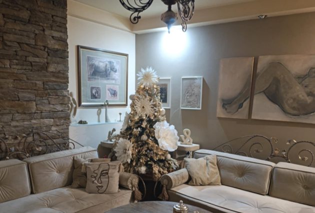 Pevačica ima najneobičniju jelku: Celu dekoraciju u kući radila sama 13 miroslava nnk 1 e1767005931859