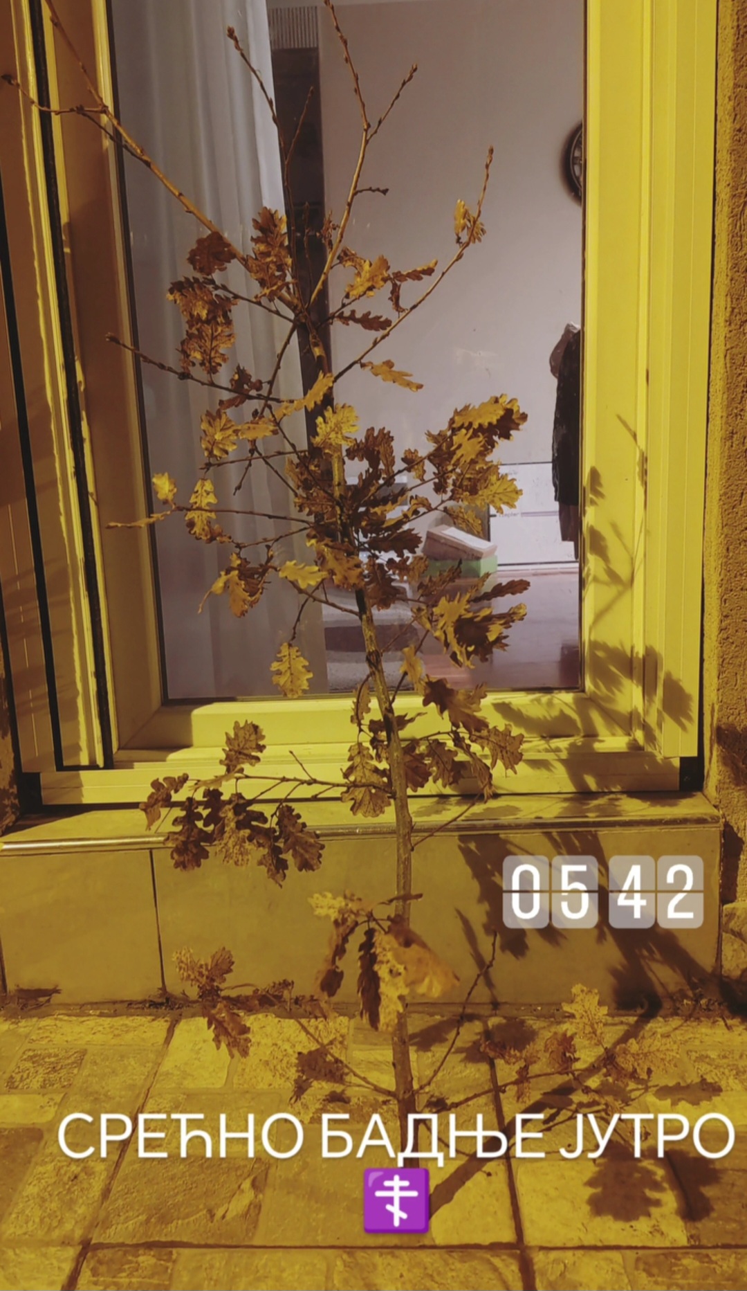 Screenshot 20260106 104531 Instagram