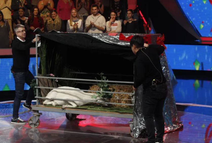 Marija Šerifović evocirala uspomenu na najbolje iznenađenje koje je doživela od Saše Popovića: "Doneo mi je kozu" 7 koza