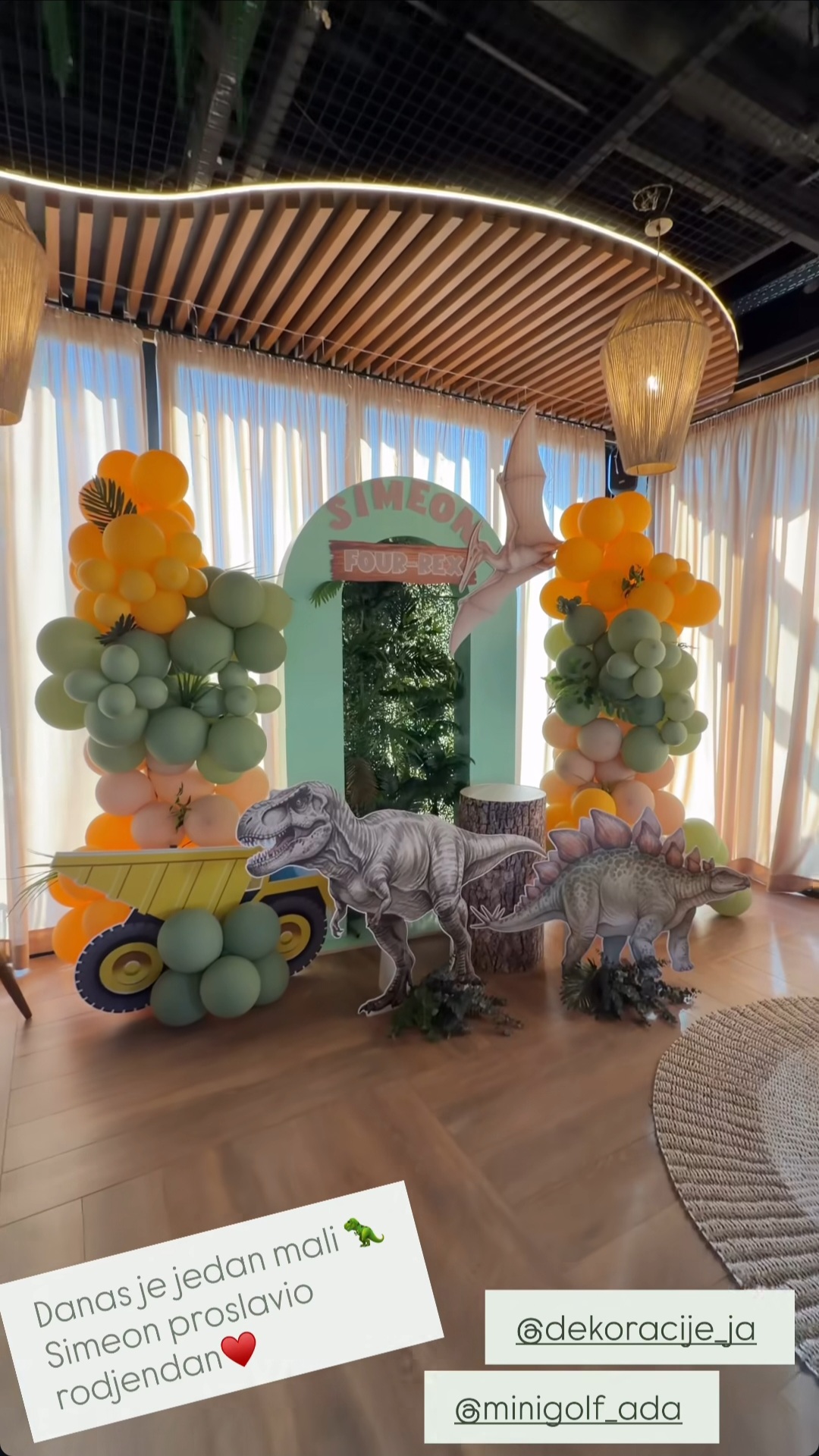 Ana Sevic rodjendan sinu 1