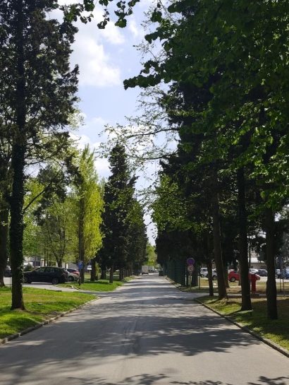 1777542526786 e1777543993325