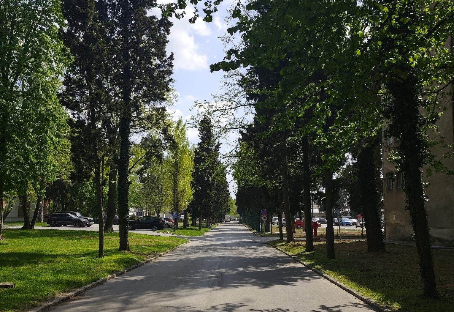 May Day in Belgrade is no longer what it used to be? We asked citizens where they will spend the holiday