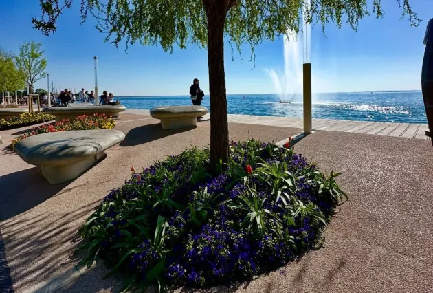 SnapInsta.to 660299553 18579669580058350 5628352203031322352 n e1776848816102