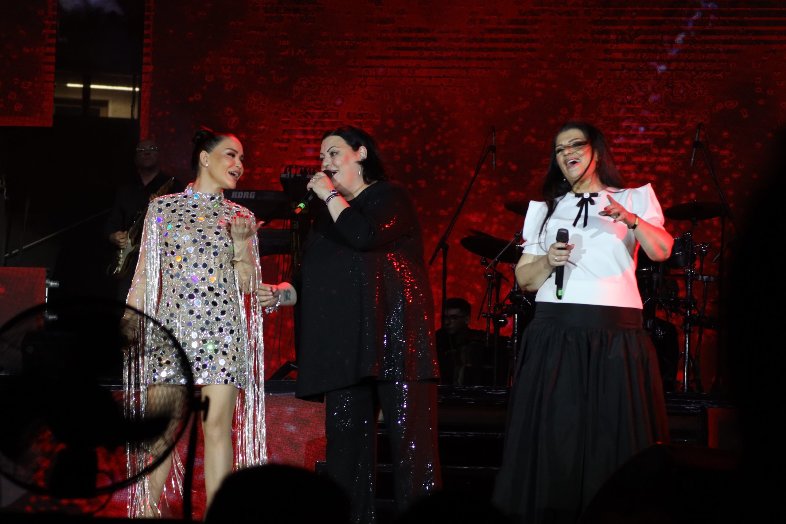 Istorijska noć u Beogradu: Suzana Jovanović se rasplakala na bini, omaž Sinanu Sakiću naježio hiljade ljudi u publici, a tek da čujete šta je zapevala Bojana Barjaktarević (FOTO) 13 0A0A0340