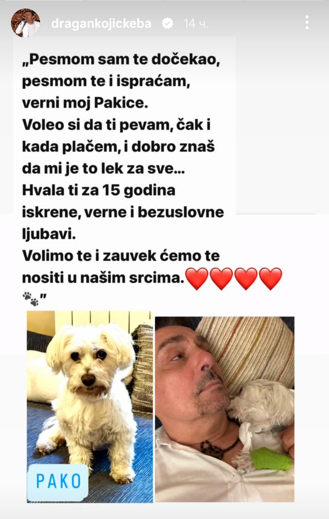 Tuga u domu Dragana Kojiće Kebe, porodica neutešna: "Pesmom sam te dočekao, pesmom te i ispraćam" (FOTO) 6 Pako Kebin pas 2