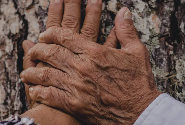 Priča iza najtužnije srpske pesme slama srce: Nastala je zbog zabranjene ljubavi koja nije imala srećan kraj 14 alanjvm hand 7566739 1
