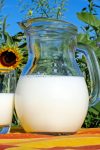 couleur milk 2474993