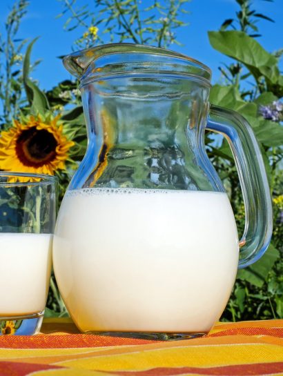 couleur milk 2474993