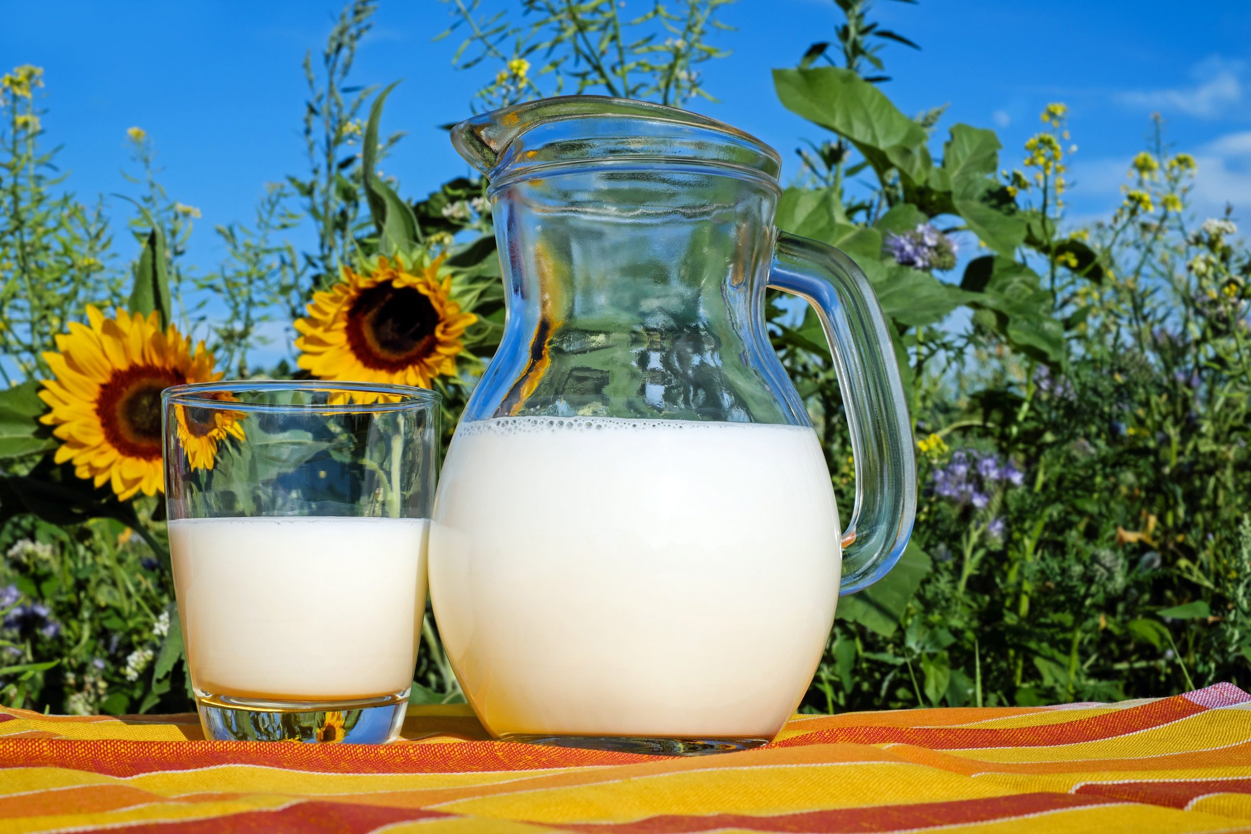 Ni u snu ne biste pomislili: Ovo piće leti najbolje hidrira telo, a nije voda 7 couleur milk 2474993