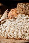 terski sourdough 9865309