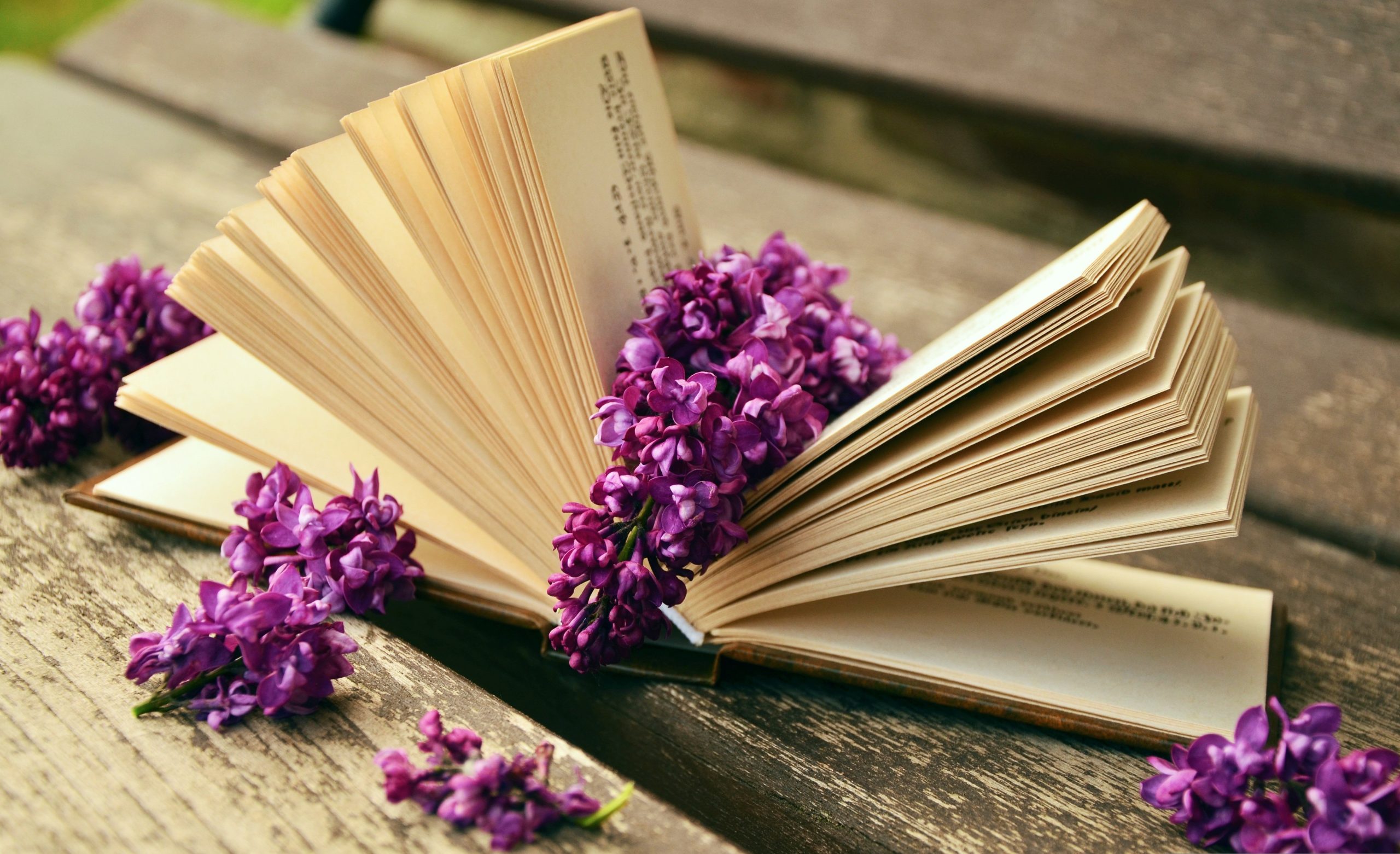congerdesign a book 759873