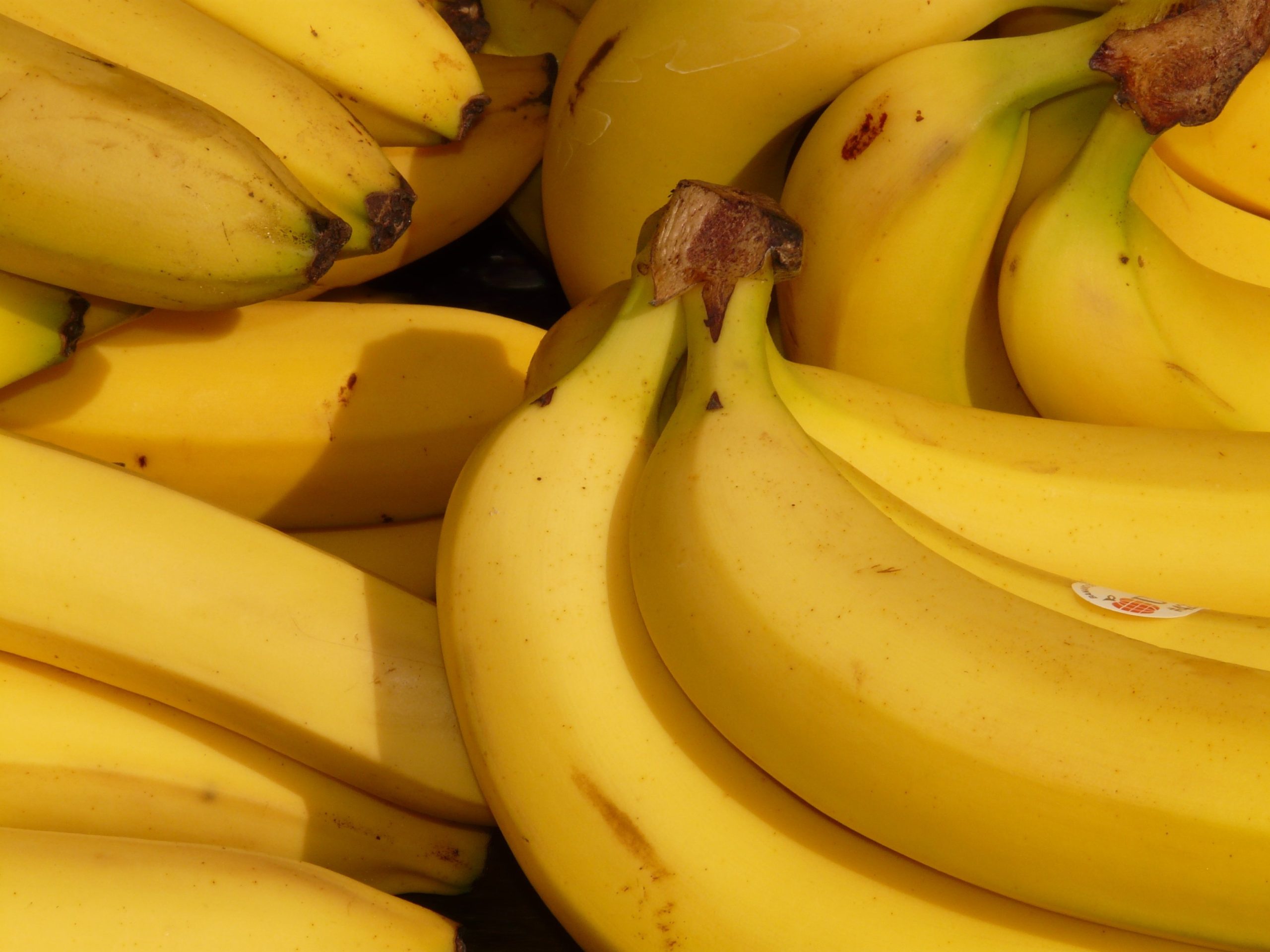 hans banana 5734
