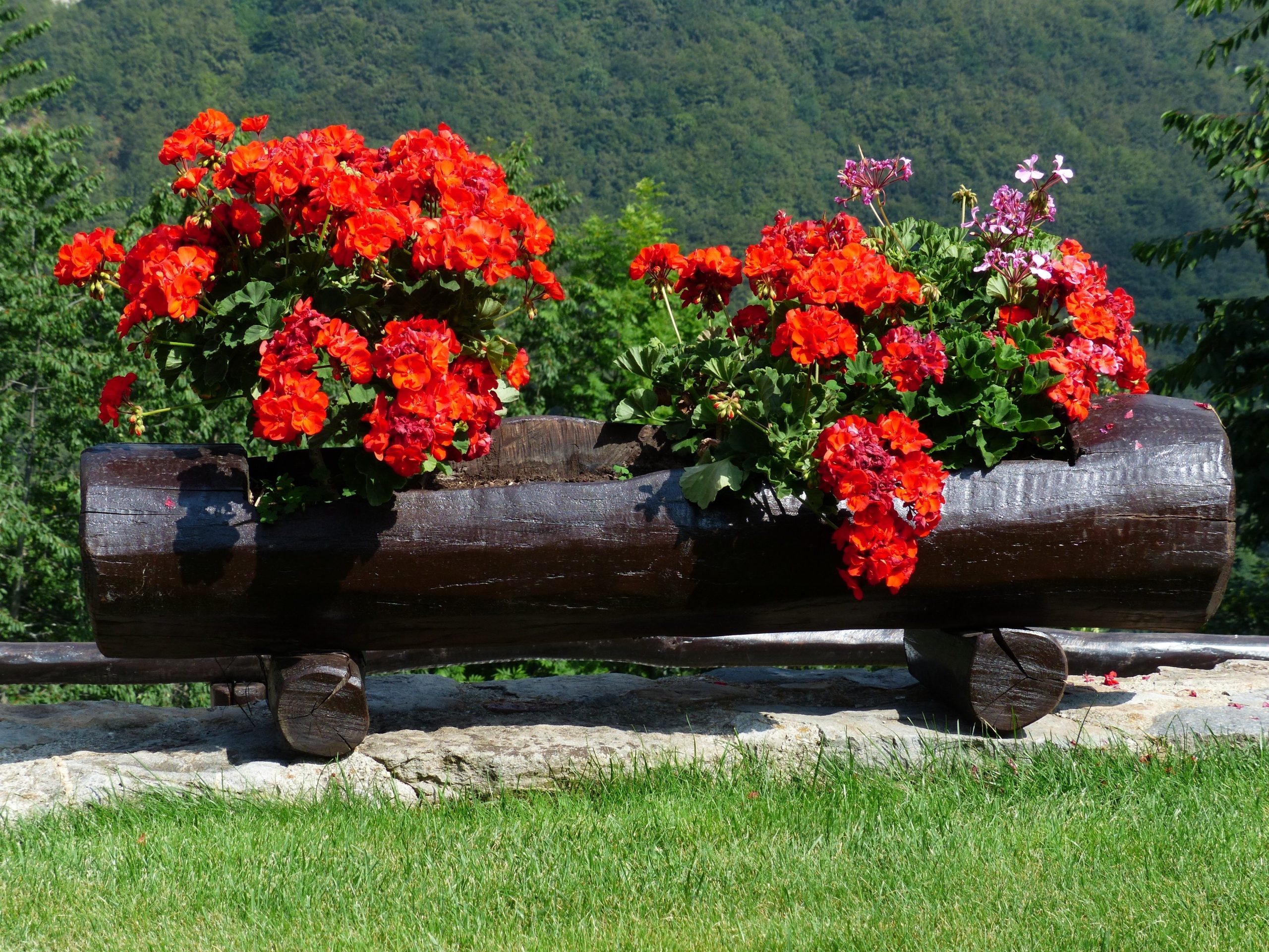 hans flower 177400