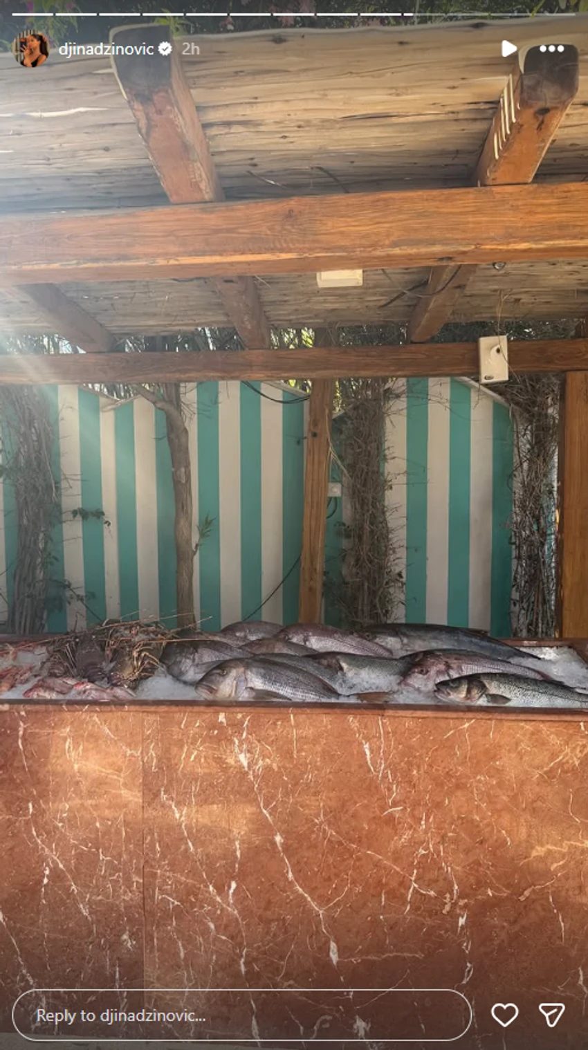 Đina Džinović se oglasila sa Mikonosa i pokazala skupocenu ogrlicu koju nosi na dejtu (FOTO) 11 image 8 19
