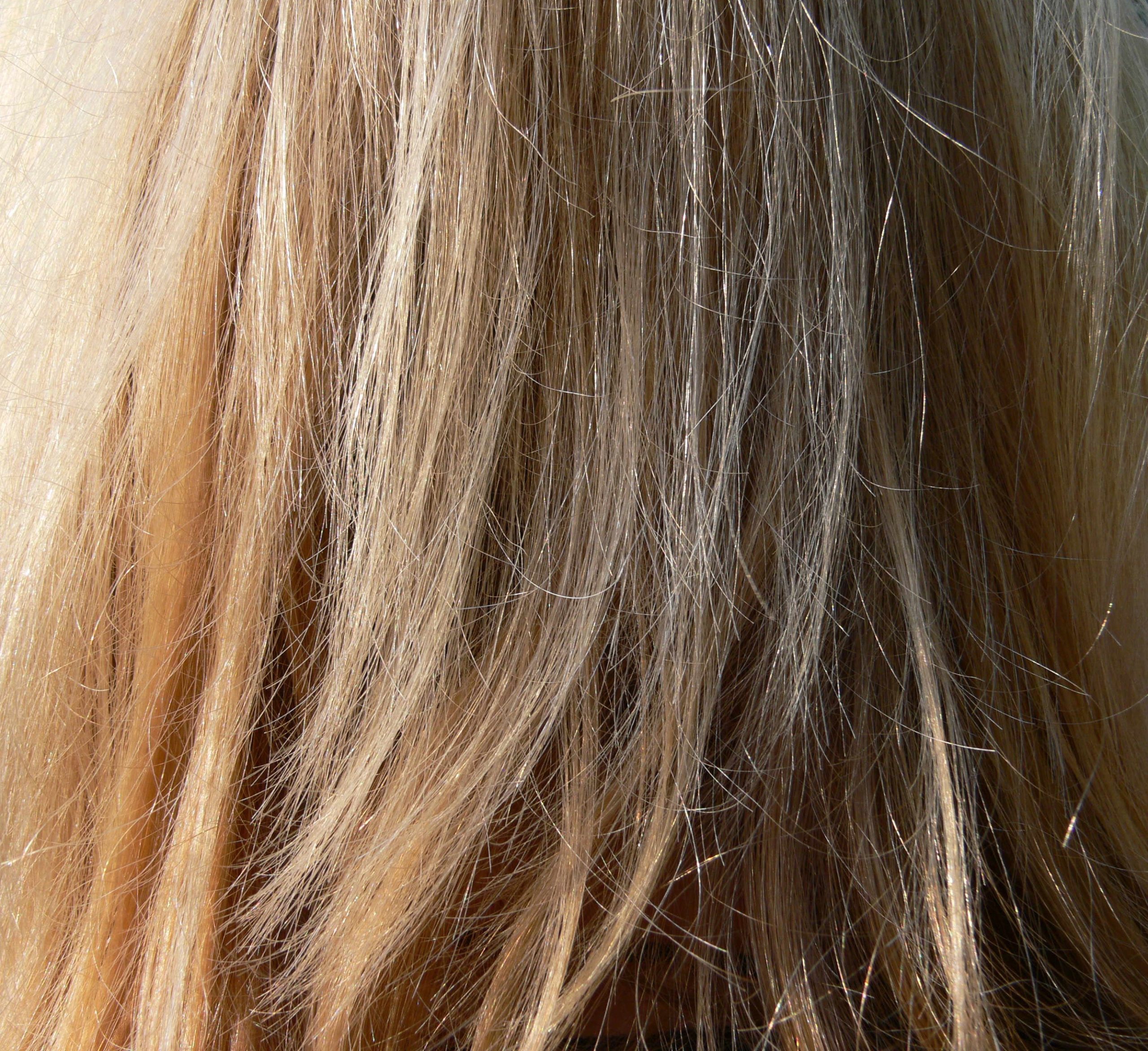 monsterkoi hair 958257