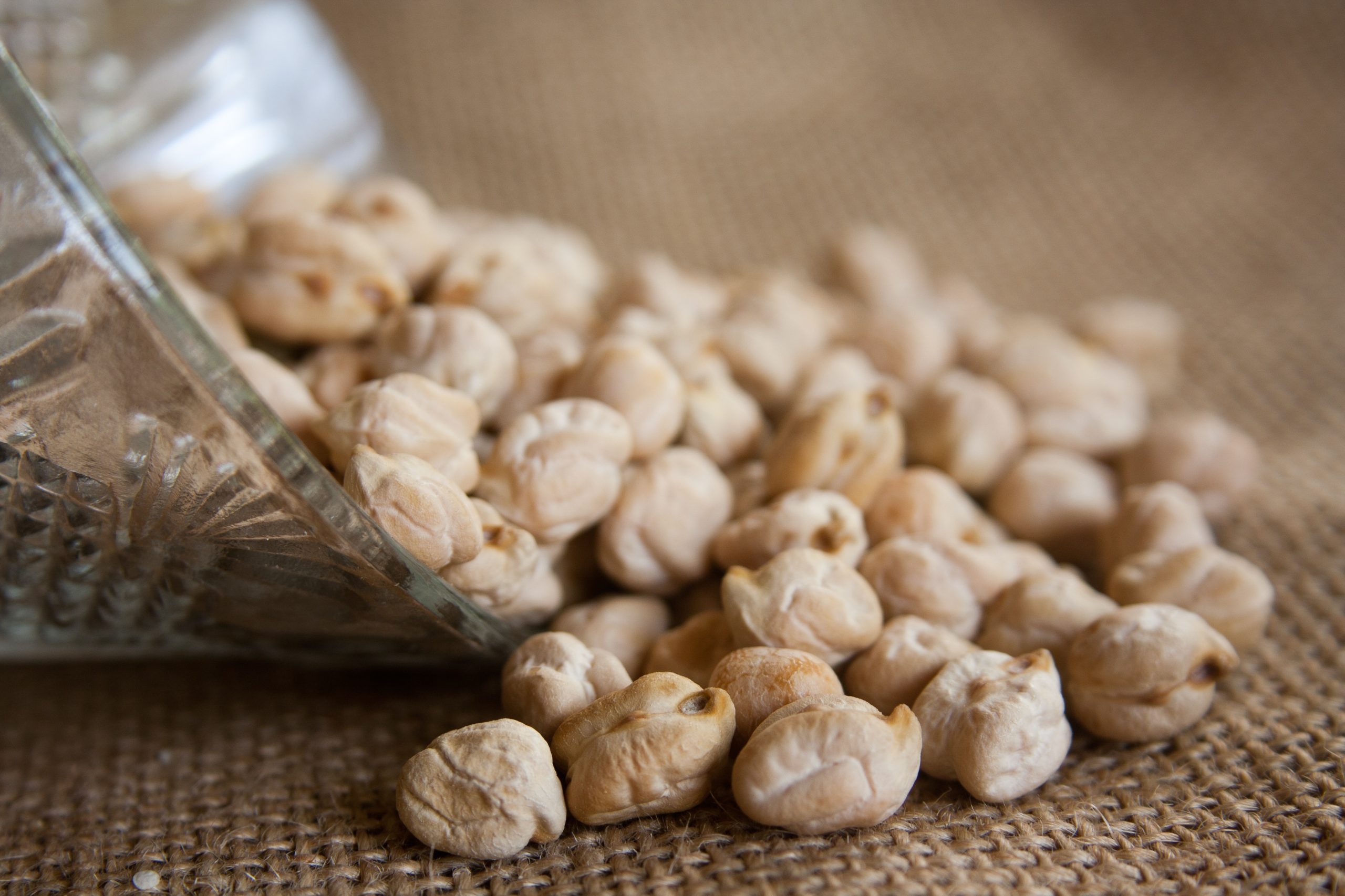 pdpics chickpea 390706