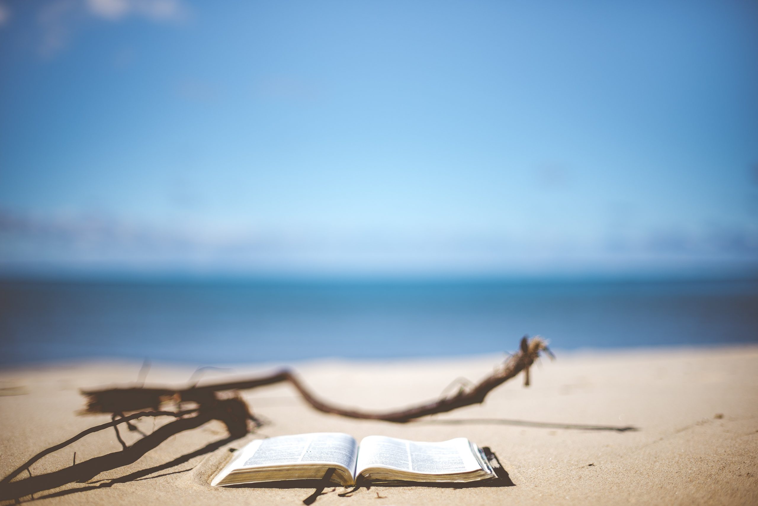 pexels beach 1866992