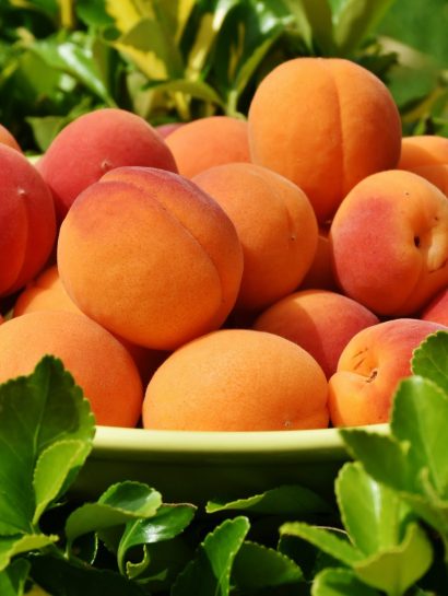 ritae peaches 1522680