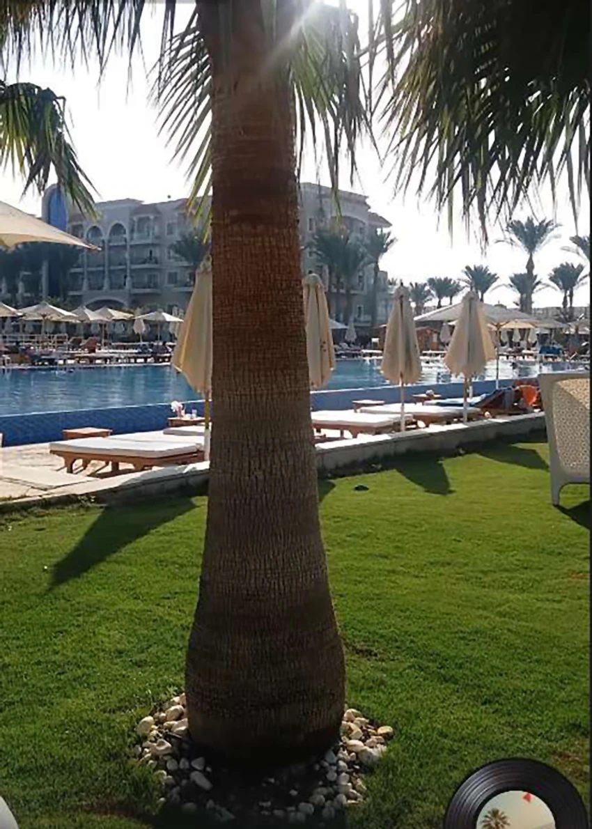 Jami sa ćerkom uživa u luksuzu: Oko njih palme i baldahini, a hotel iz snova sve ostavlja bez daha (FOTO) 6 image 1 4