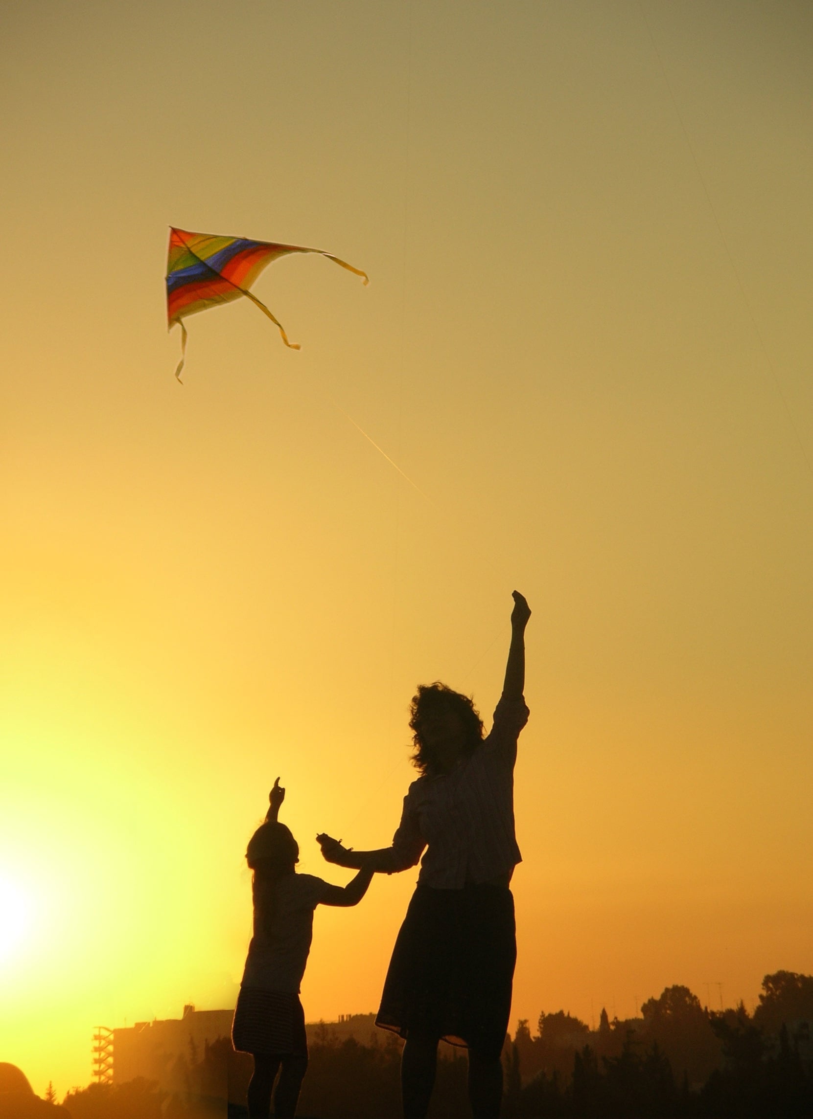 shlomaster kite 1666816